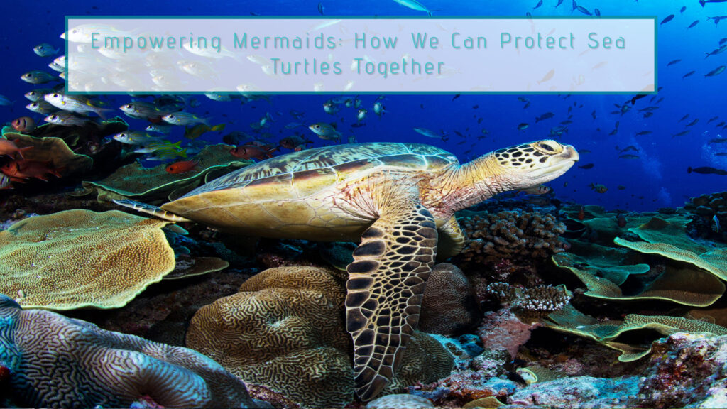 Empowering Mermaids And Mermen How We Can Protect Sea Turtles Together Mermaid Infinity 0715